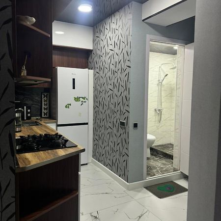 New Apartments In Bordżomi Zewnętrze zdjęcie